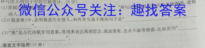 安徽省2024届高三10月质量检测卷/语文