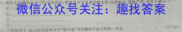 ［独家授权］安徽省2023-2024学年八年级上学期期中教学质量调研【考后更新】/语文