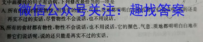 江西省2023-2024学年度九年级阶段性练习（一）/语文