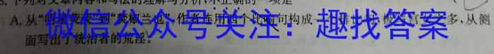 安徽省2023-2024学年度九年级阶段质量检测【R- PGZX D AH⭕】/语文