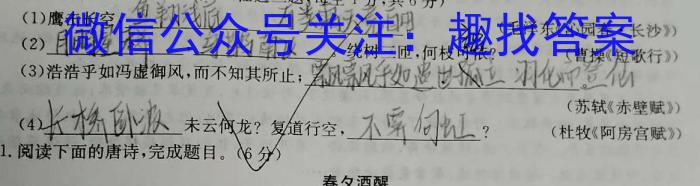安徽省2023-2024学年九年级上学期教学质量调研一/语文