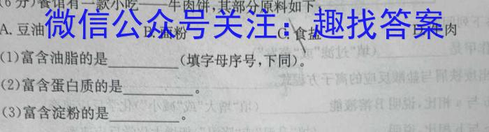 3广东省2025届高二年级上学期9月联考化学