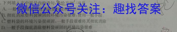 湖南省长沙市湖南师大附中2024届九年级第一次质量调研检测/语文