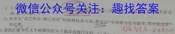 安徽省2023-2024学年高二年级上学期阶段检测联考(24004B)语文