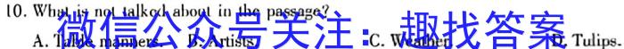 九师联盟2024届全国高三单元定向检测卷(新教材KH)(5)英语试题