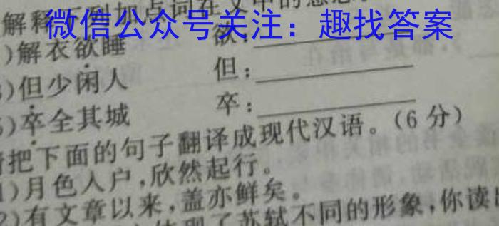 陕西省2023-2024学年度九年级第一学期阶段性学习效果评估（二）语文