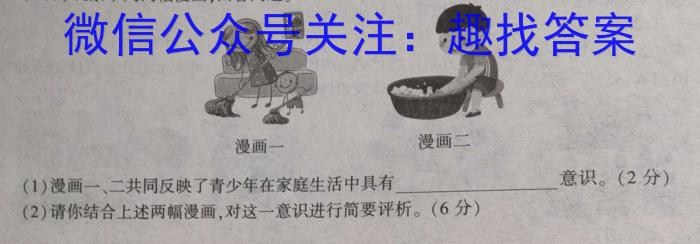 2024届新高考模拟检测卷XKB(二)（政治）