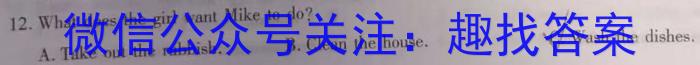 山西省九年级2023-2024学年新课标闯关卷（十）SHX英语