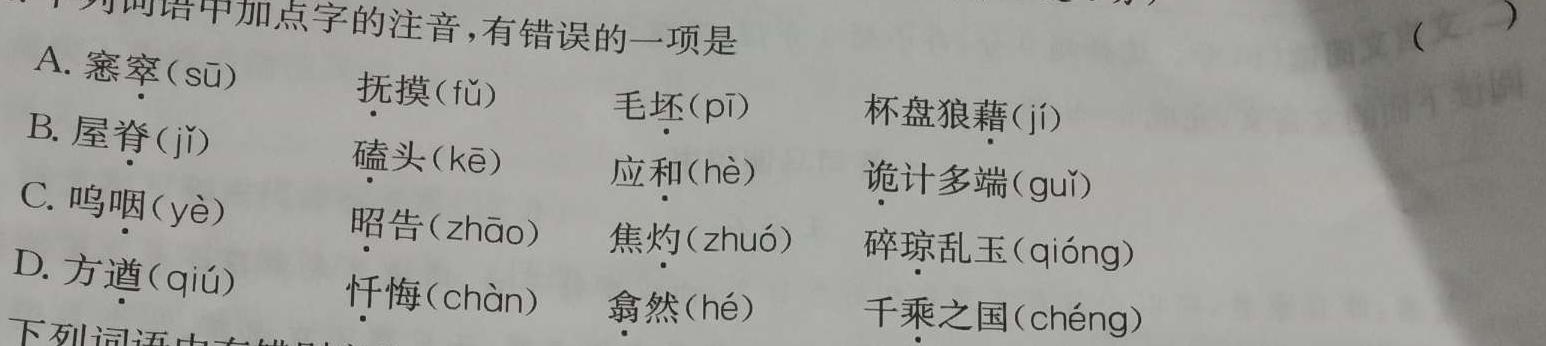 2024届全国名校高三单元检测示范卷(十九)语文