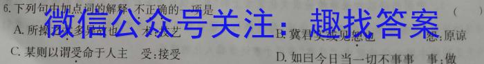 山东省济南市市中区2024届九年级学业质量调研语文