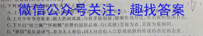 2023-2024学年度湖北省部分学校九年级调研考试语文