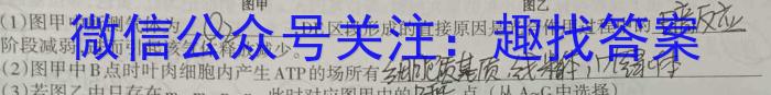 2023~2024年度上学年河南名校高二年级第一次联考生物试卷答案