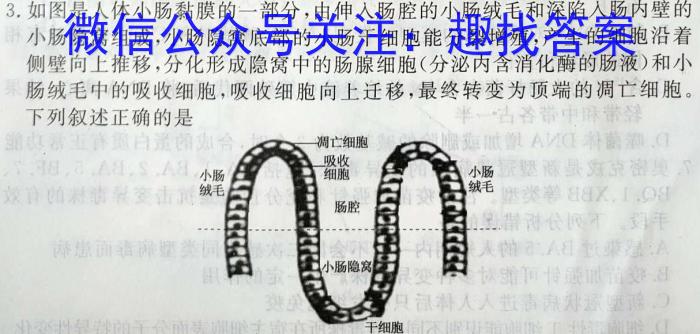 江西省上进教育2023-2024学年高二开学大联考生物试卷答案