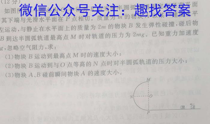 安徽省2024届九年级阶段评估1L R(一).物理
