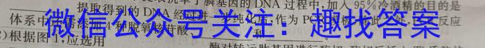 广东省2025届高二年级上学期9月联考生物
