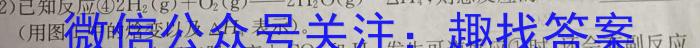 3安徽省皖江名校联盟2024届高三8月联考（A-024）化学