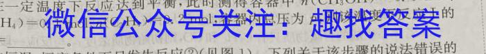 3衡水市第十三中学2023-2024学年第一学期高三年级开学考试化学