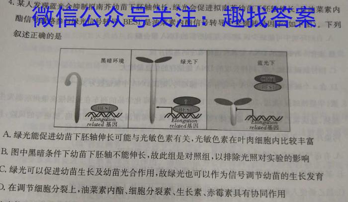 2024届湖北省高三9月起点考试 新高考联考协作体生物试卷答案
