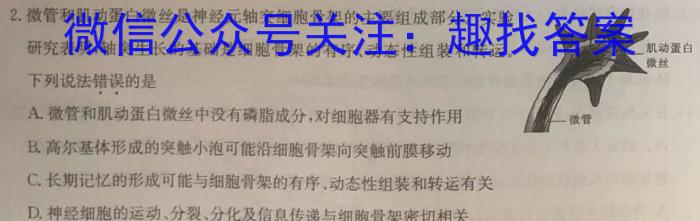 江淮十校2024届高三第一次联考（8月）数学试卷及参考答案生物试卷答案