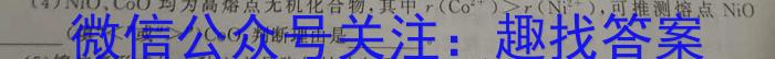 3［开学考］九师联盟2022-2023学年高三教学质量检测（X）化学