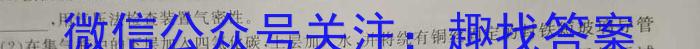 b全国大联考2024届高三第一次联考（1LK·新教材老高考-Y）化学