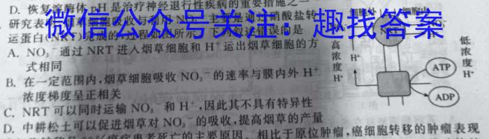 2024届安徽T12教育九年级第一次调研模拟卷生物