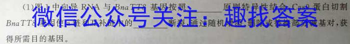 衡水金卷2024届广东省高三普通高中联合质量测评 高三摸底联考生物试卷答案