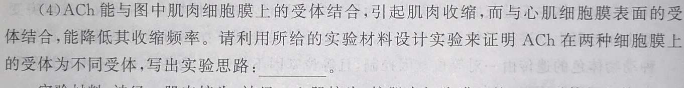 名校联考 2024届高三总复习·月考卷(一)生物