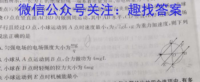 24届高三年级TOP二十名校调研考试二物理.
