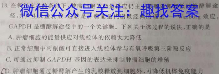 2024届高三9月联考（圆圈飞船）生物试卷答案