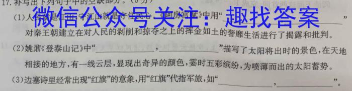 安徽省2023-2024学年度七年级阶段质量检测/语文