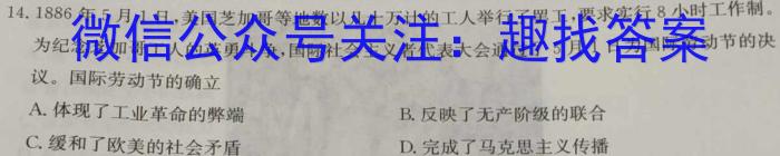 2024届安徽T12教育九年级第一次调研模拟卷历史