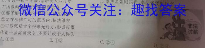 安徽省十联考 合肥一中2024届高三第二次教学质量检测(243174D)政治~