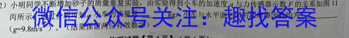 福建省宁德市博雅培文学校2023-2024学年七年级上学期开学考试l物理