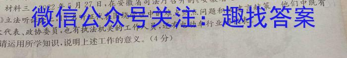 安徽省2024届九年级期中综合评估2L R政治~