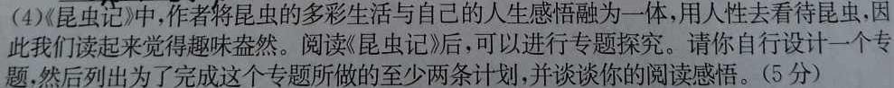 2024届广西名校高考模拟试卷第一次摸底考试语文