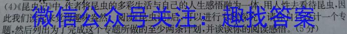 河北九年级2023-20234学年新课标闯关卷（六）HEB语文