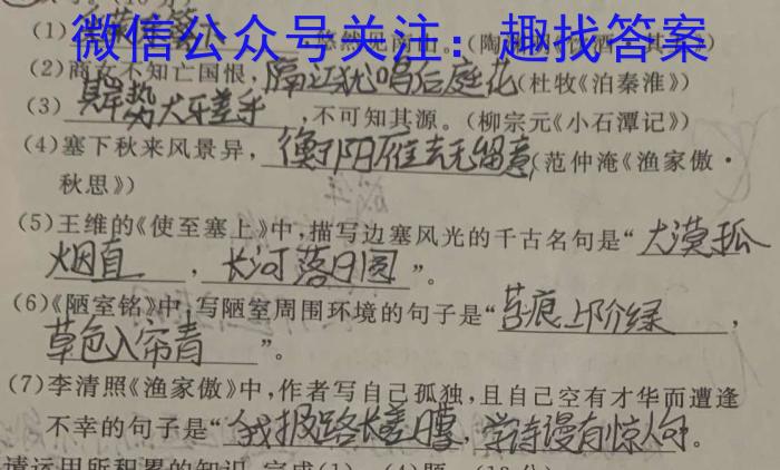 皖江名校2024届高三8月联考语文