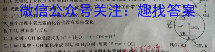 q山西省2024届九年级阶段评估（一）【1LR】化学