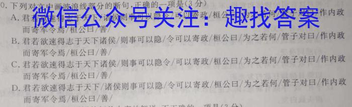 邕衡金卷 名校联盟南宁三中 柳州高中2024届第一次适应性考试/语文