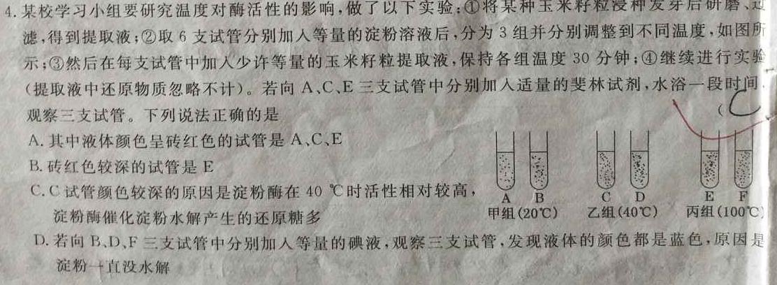 ［重庆大联考］重庆市2024届高三年级8月联考生物
