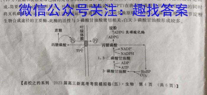 陕西省宝鸡市2024届高三摸底考试试卷（一）【24024C】生物试卷答案