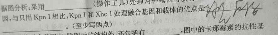 江淮十校2024届高三第一次联考（8月）语文试卷及参考答案生物