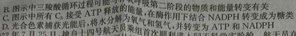 2023-2024学年福建省高三8月联考(FJ)生物