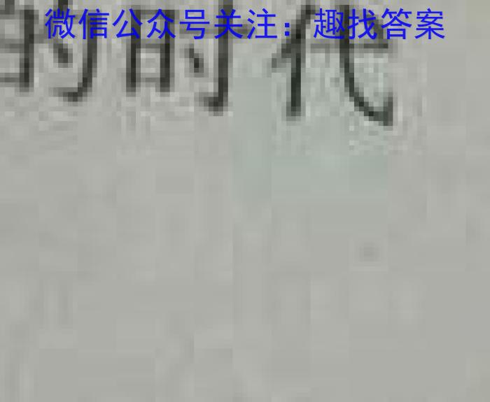 安徽省2024届九年级学情调研历史