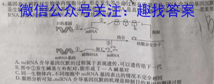 ［重庆大联考］重庆市2024届高三年级8月联考生物