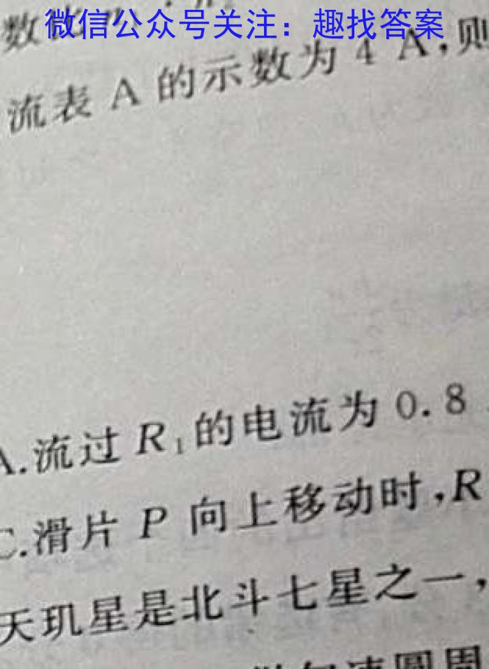 陕西省2024届九年级阶段评估（一）【1LR】q物理