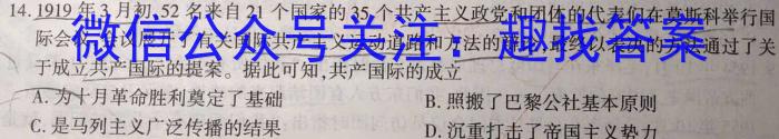 2023-2024学年度湖北省部分学校九年级调研考试历史试卷