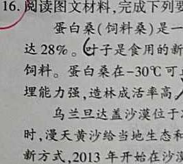 河南省2024届新高考8月起点摸底大联考政治y