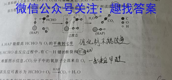 3河南省驻马店市上蔡县2023-2024学年度上期八年级开学摸底考试试卷化学